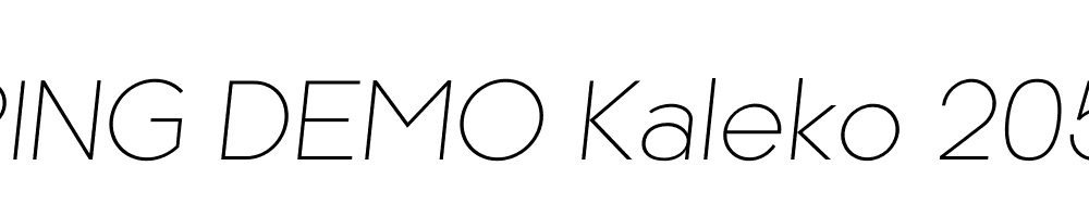  DEMO Kaleko 205 Text Italic