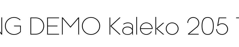  DEMO Kaleko 205 Text Regular