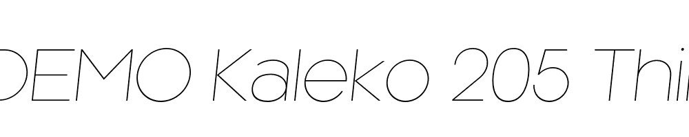 FSP DEMO Kaleko 205 Thin Italic