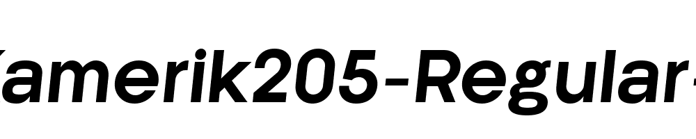 Kamerik205-Regular-4