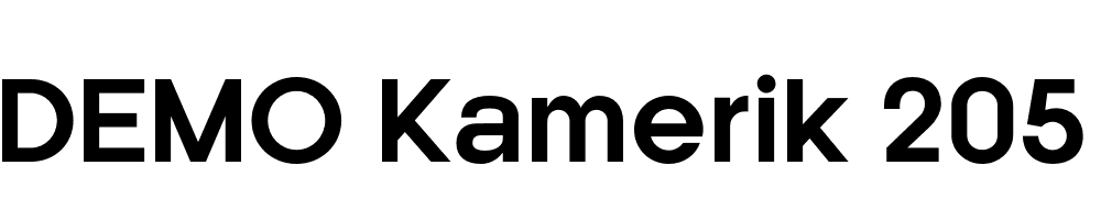 FSP DEMO Kamerik 205 Bold