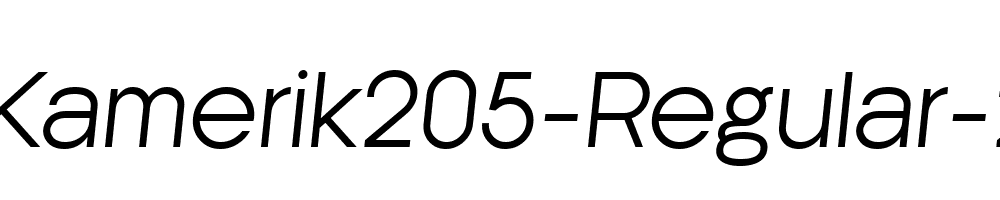 Kamerik205-Regular-2