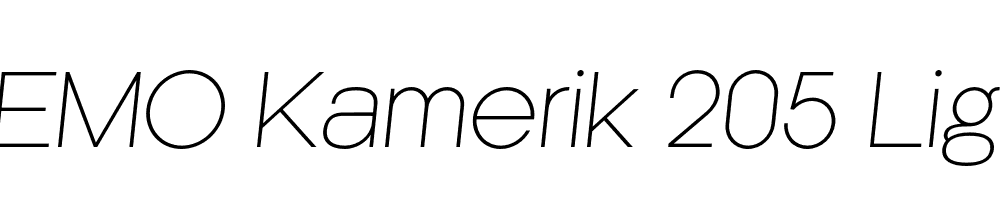 FSP DEMO Kamerik 205 Light Italic