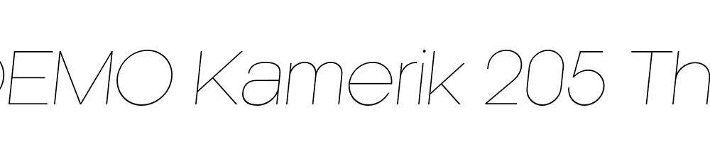 FSP DEMO Kamerik 205 Thin Italic