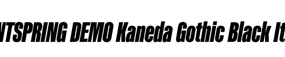  DEMO Kaneda Gothic Black Italic