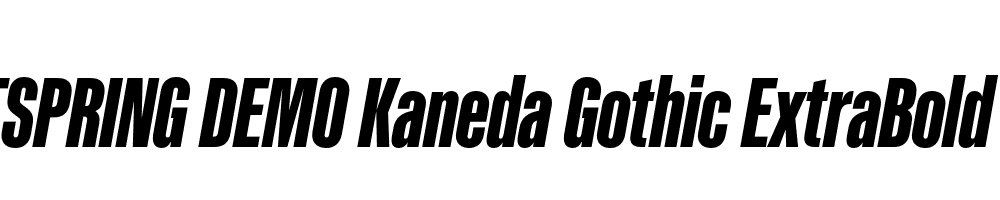  DEMO Kaneda Gothic ExtraBold Italic