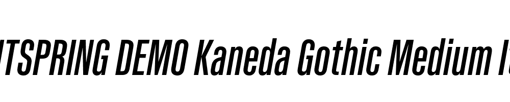  DEMO Kaneda Gothic Medium Italic