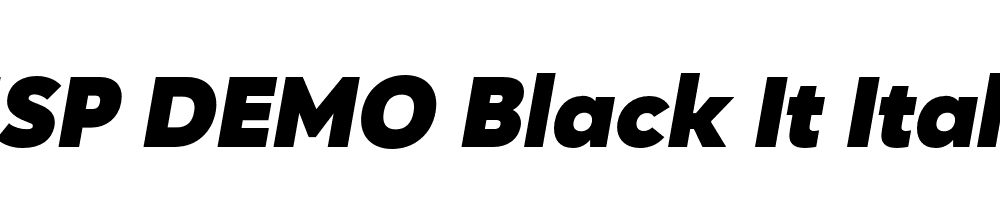 FSP DEMO Black It Italic