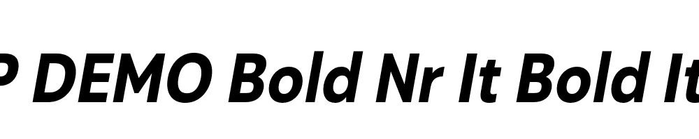 FSP DEMO Bold Nr It Bold Italic