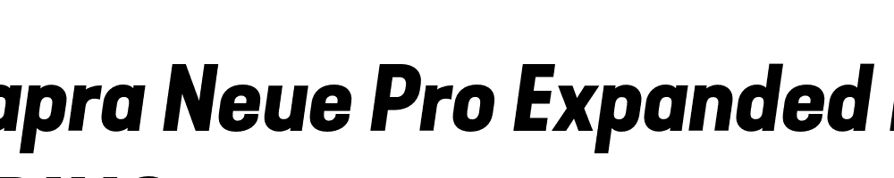  DEMO Kapra Neue Pro Expanded Bold Italic