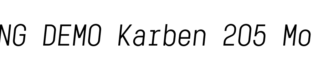  DEMO Karben 205 Mono Italic