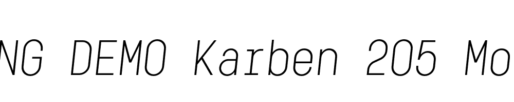  DEMO Karben 205 Mono Italic