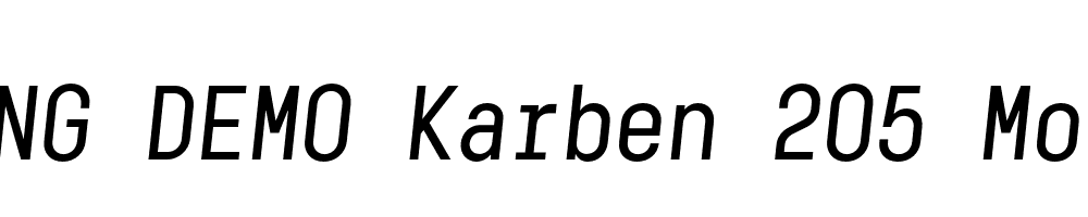  DEMO Karben 205 Mono Italic