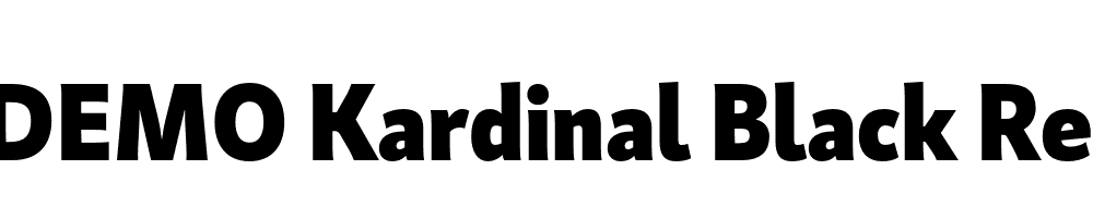 FSP DEMO Kardinal Black Regular