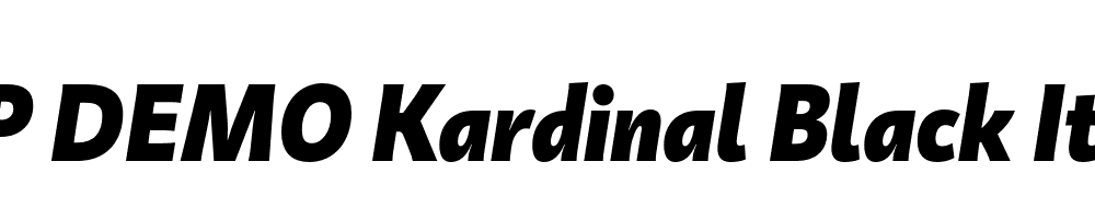 FSP DEMO Kardinal Black Italic