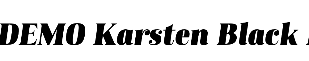 FSP DEMO Karsten Black Italic