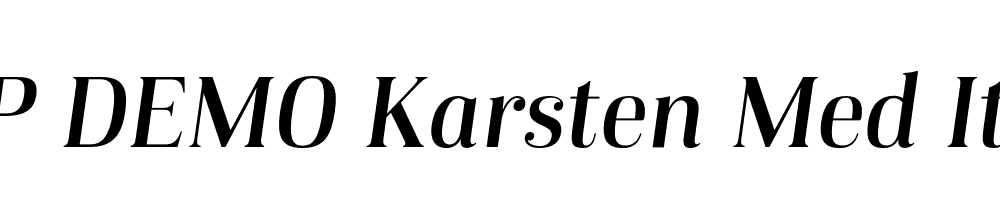 FSP DEMO Karsten Med Italic