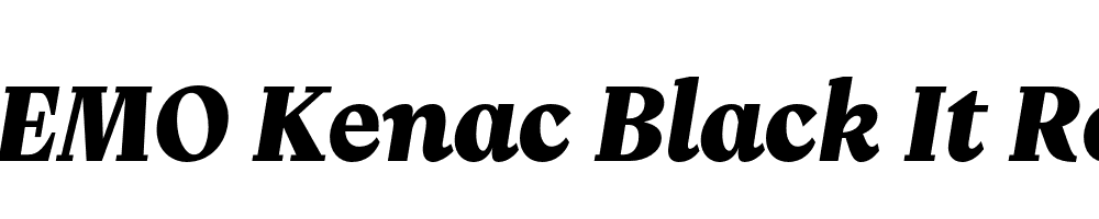 FSP DEMO Kenac Black It Regular