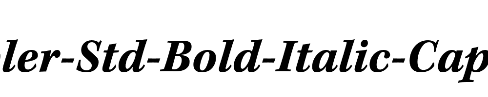 Kepler-Std-Bold-Italic-Caption