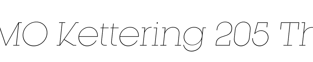 FSP DEMO Kettering 205 Thin Italic