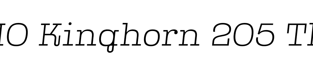 FSP DEMO Kinghorn 205 Thin Italic