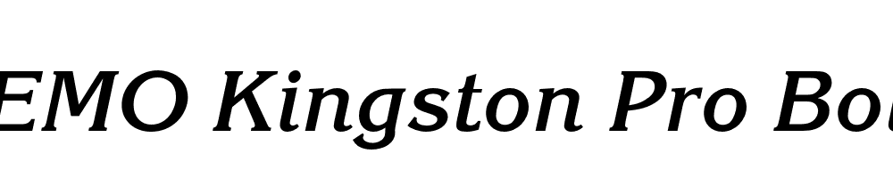 FSP DEMO Kingston Pro Bold Italic