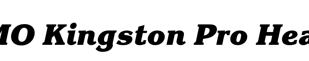 FSP DEMO Kingston Pro Heavy Italic