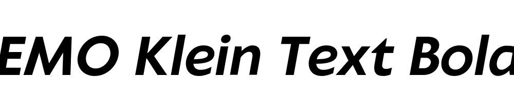 FSP DEMO Klein Text Bold Italic