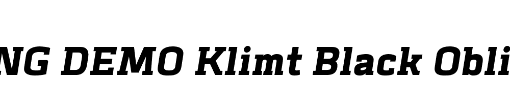  DEMO Klimt Black Oblique Regular