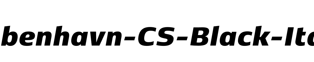 Kobenhavn-CS-Black-Italic