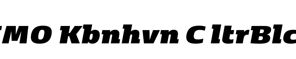 FSP DEMO Kbnhvn C ltrBlck Italic