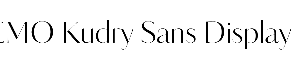 FSP DEMO Kudry Sans Display Regular