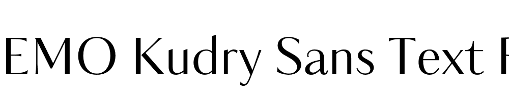 FSP DEMO Kudry Sans Text Regular