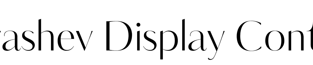 Kudryashev Display Contr Sans