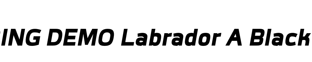  DEMO Labrador A Black Bold Italic