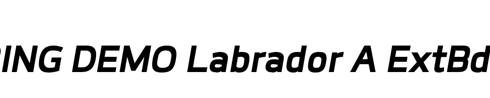  DEMO Labrador A ExtBd Bold Italic