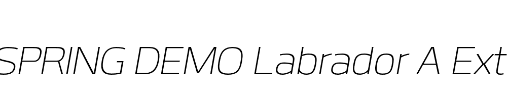  DEMO Labrador A ExtLt Italic