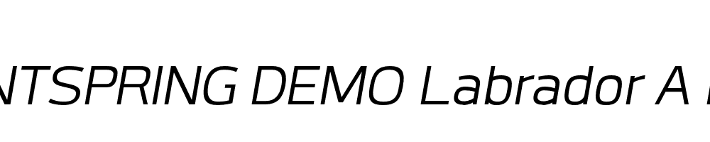  DEMO Labrador A Italic