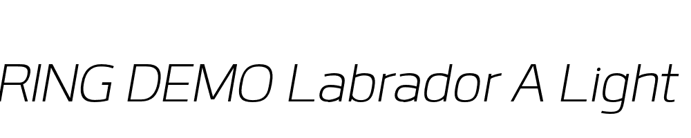  DEMO Labrador A Light Bold Italic