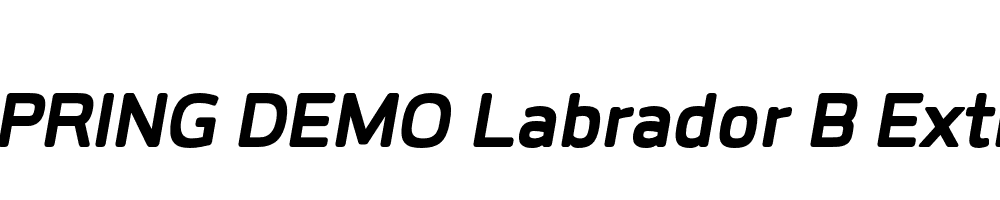  DEMO Labrador B ExtBd Italic