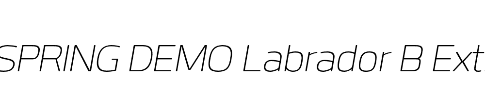  DEMO Labrador B ExtLt Italic