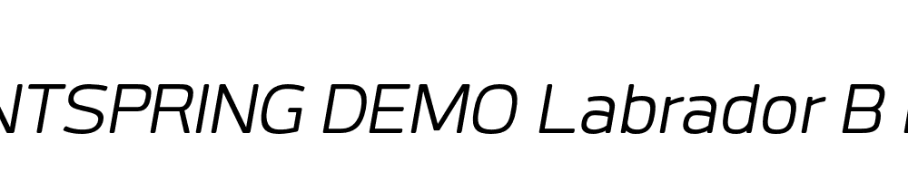  DEMO Labrador B Italic