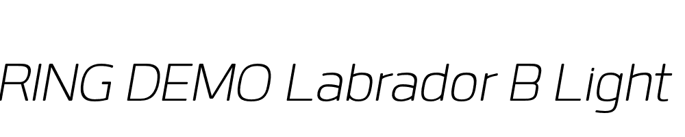  DEMO Labrador B Light Bold Italic