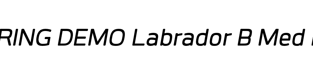  DEMO Labrador B Med Bold Italic