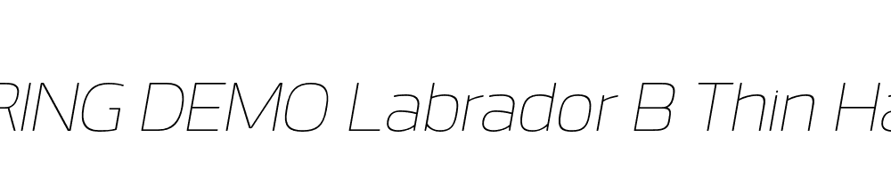  DEMO Labrador B Thin Hairline Italic