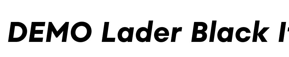 FSP DEMO Lader Black Italic