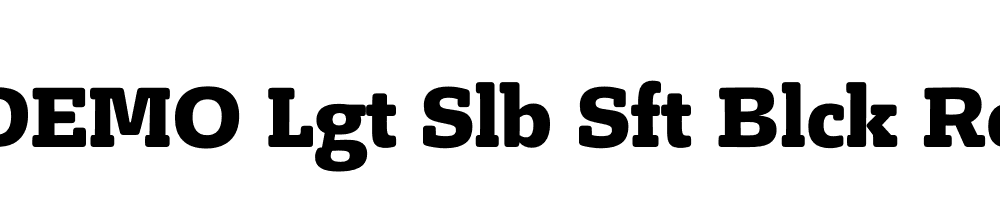 FSP DEMO Lgt Slb Sft Blck Regular