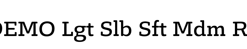 FSP DEMO Lgt Slb Sft Mdm Regular