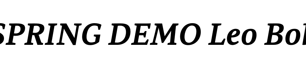  DEMO Leo Bold Italic