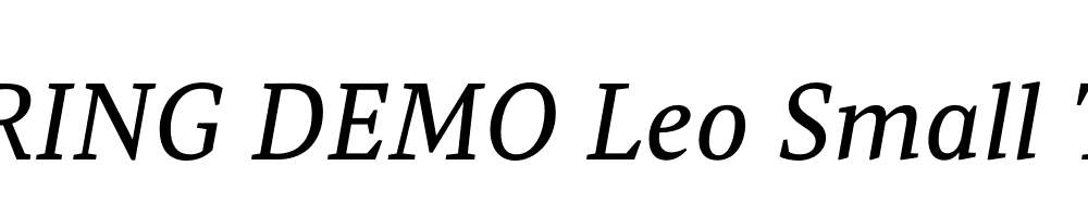  DEMO Leo Small Text Italic